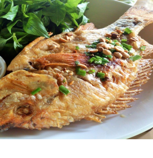 Cá Chẽm Chiên Xù